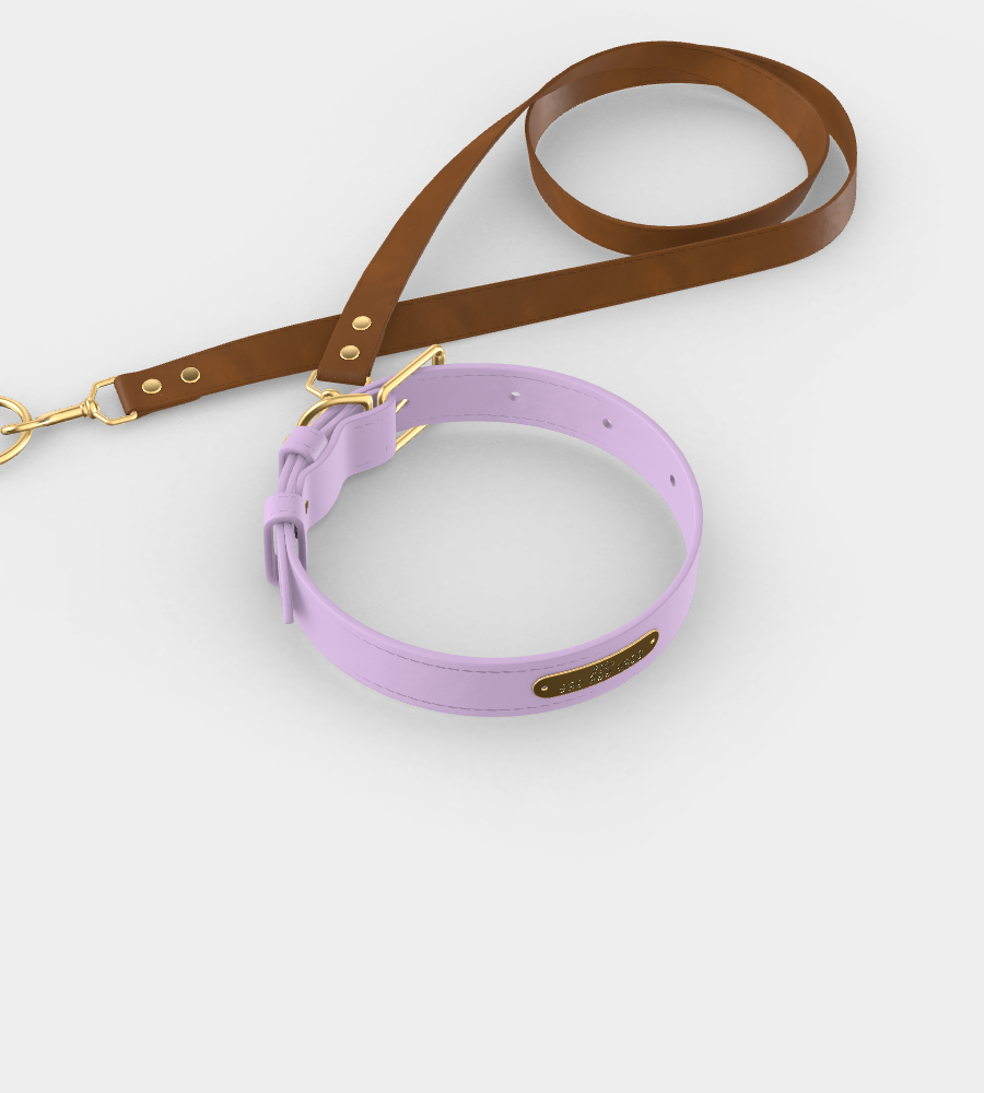 Custom Tempo Dog Collar + Leash