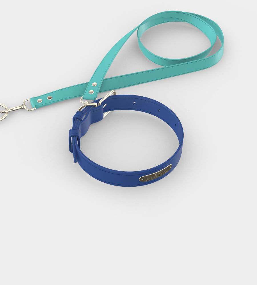 Custom Tempo Dog Collar + Leash
