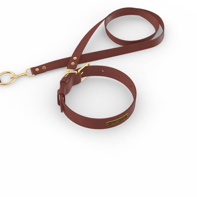 Custom Tempo Dog Collar + Leash (Gift)