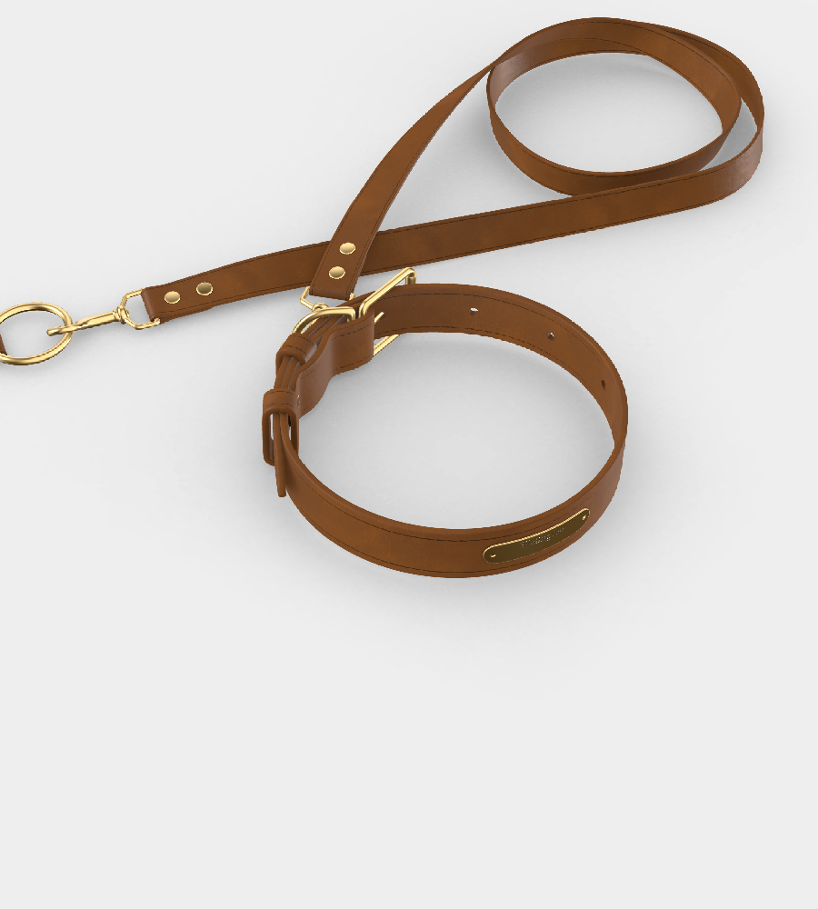 Custom Tempo Dog Collar + Leash (Gift)