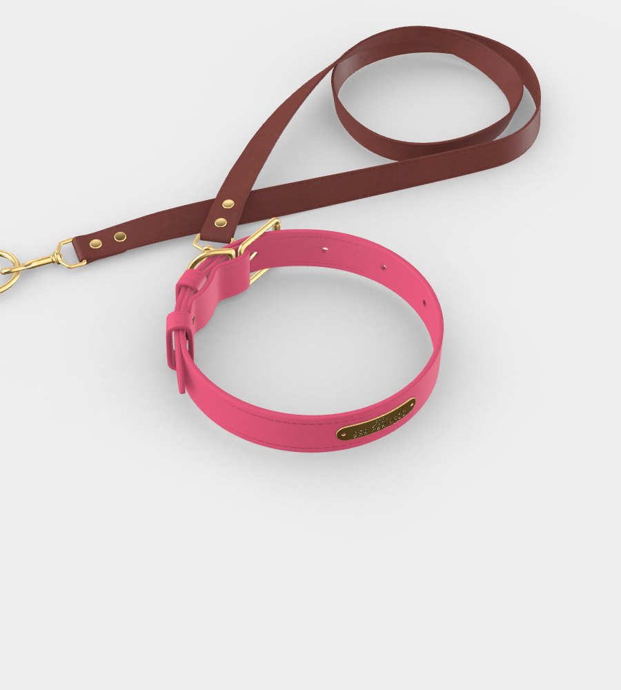 Custom Tempo Dog Collar + Leash