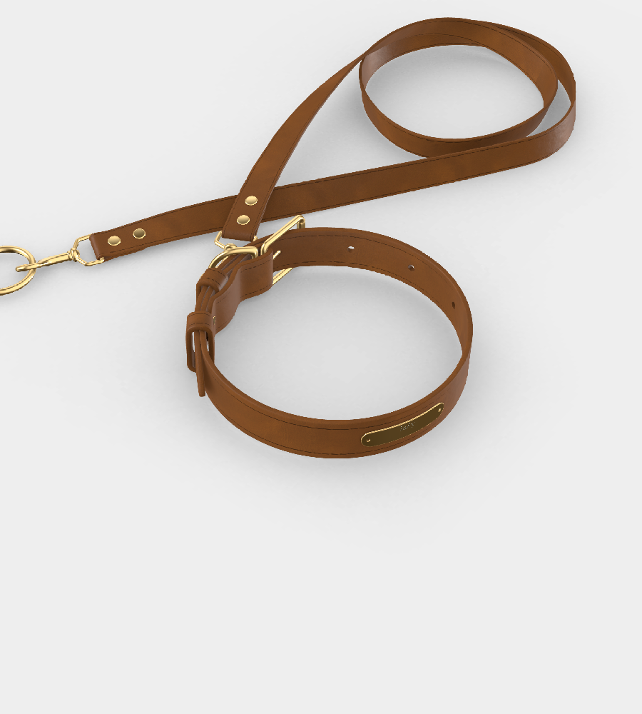 Custom Tempo Dog Collar + Leash (Gift)