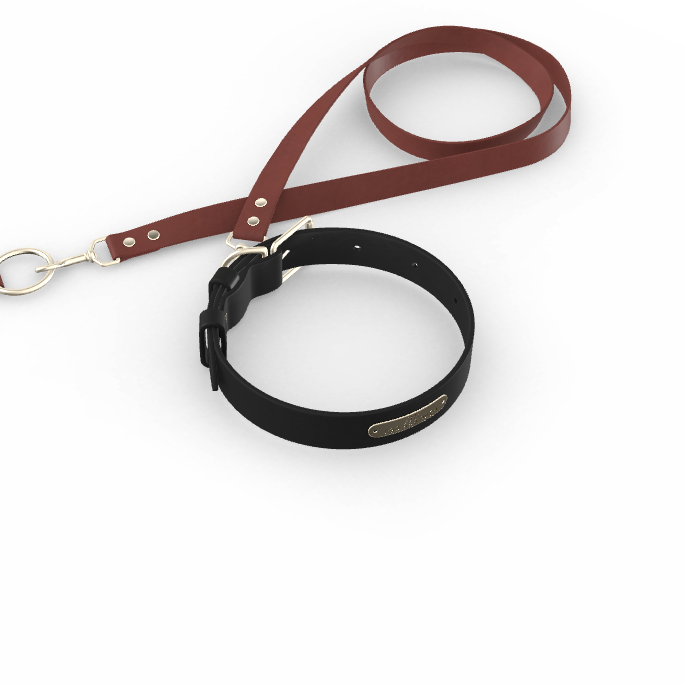Custom Tempo Dog Collar + Leash (Gift)