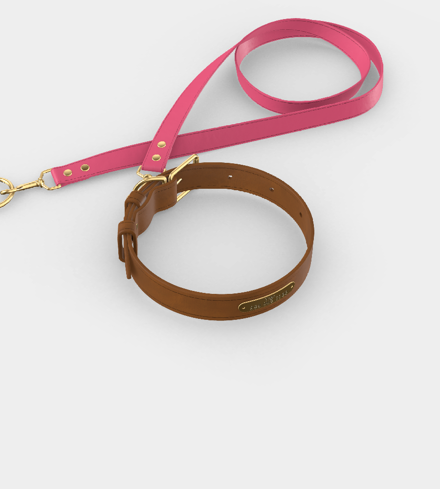 Custom Tempo Dog Collar + Leash (Gift)