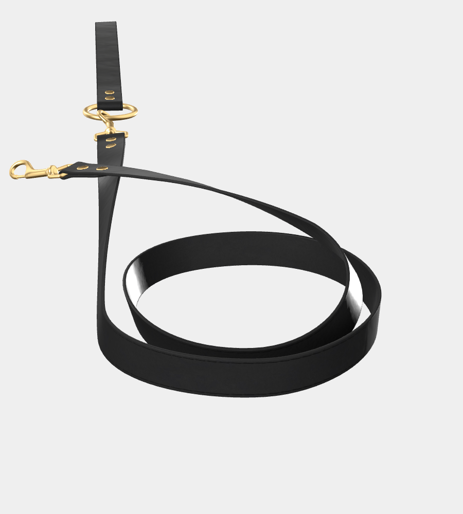 Custom Melody Dog Leash