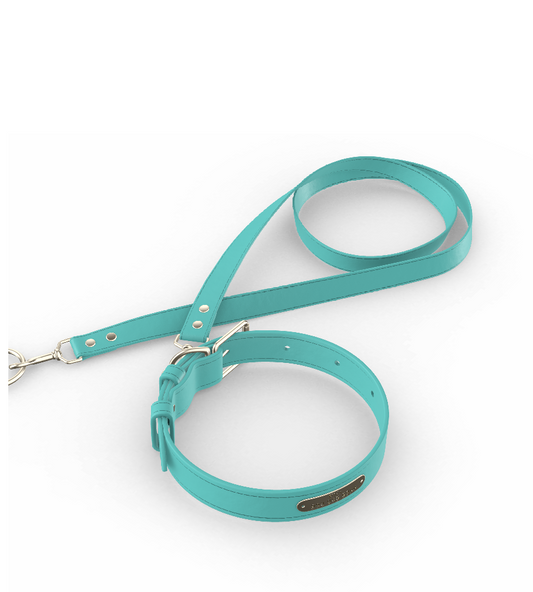 Collar XS, Leash 48"L (Full Grain Aqua)