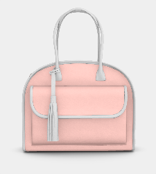 Custom Diva Carryall