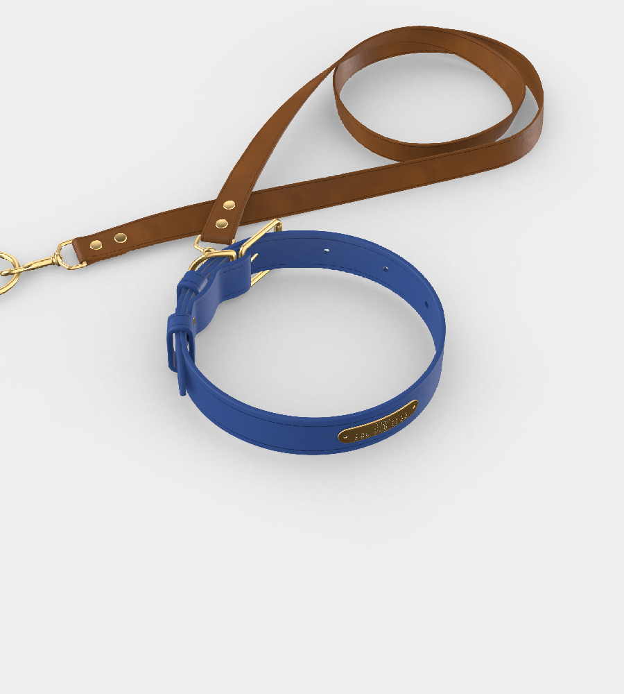 Custom Tempo Dog Collar + Leash (Gift)