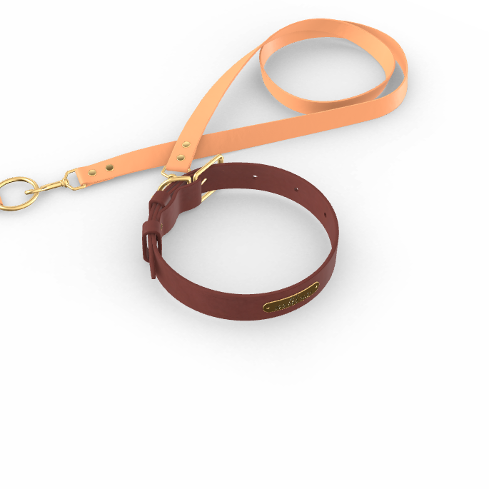 Custom Tempo Dog Collar + Leash (Gift)