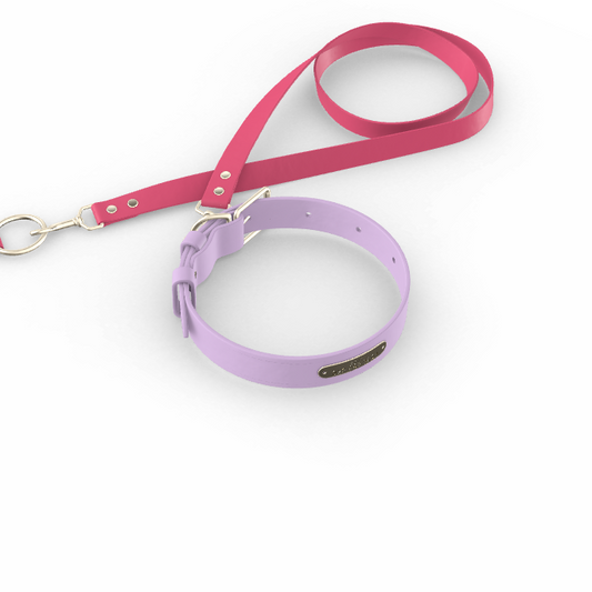 Custom Tempo Dog Collar + Leash