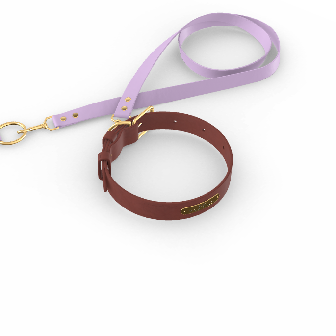 Custom Tempo Dog Collar + Leash (Gift)