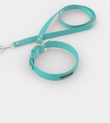 Custom Tempo Dog Collar + Leash