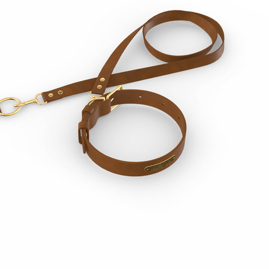 Custom Tempo Dog Collar + Leash (Gift)