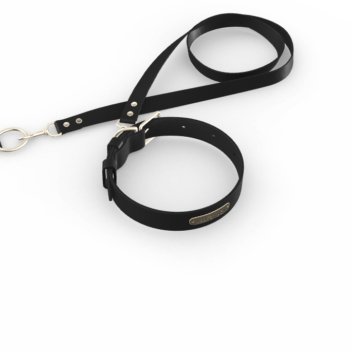 Custom Tempo Dog Collar + Leash (Gift)