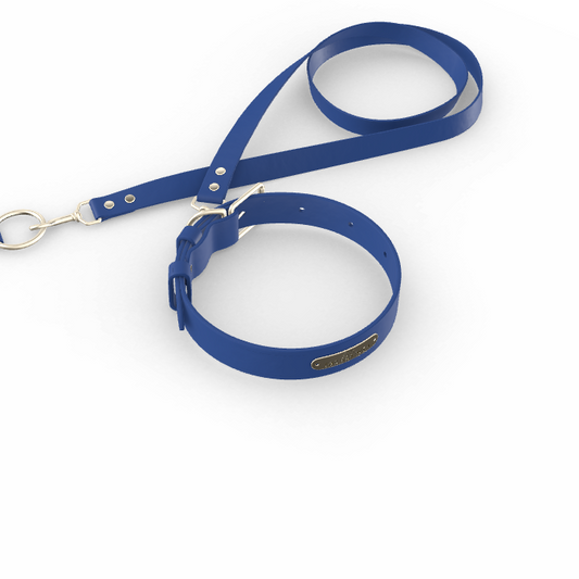 Custom Tempo Dog Collar + Leash (Gift)