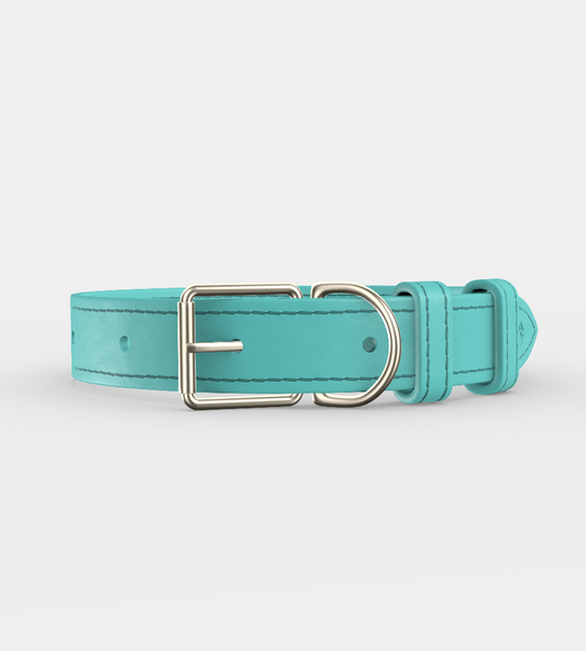 Custom Clef Dog Collar
